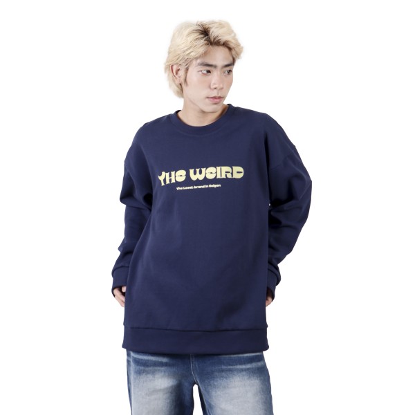 BASIC SWEATER2 - ATK660 NO RESTOCK