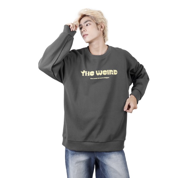 BASIC SWEATER2 - ATK660 NO RESTOCK
