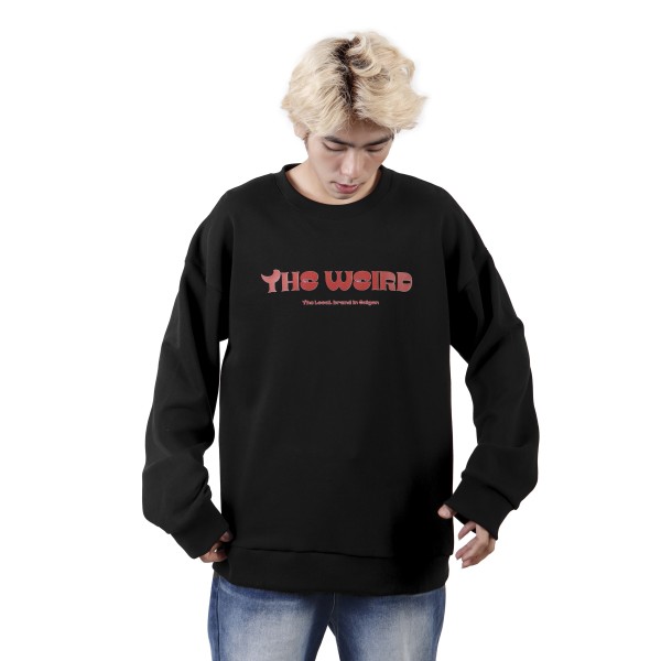 BASIC SWEATER2 - ATK660 NO RESTOCK